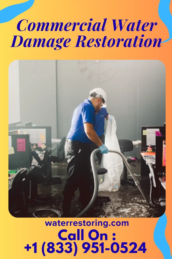 Commercial Water Damage Restoration in New Seabury, MA