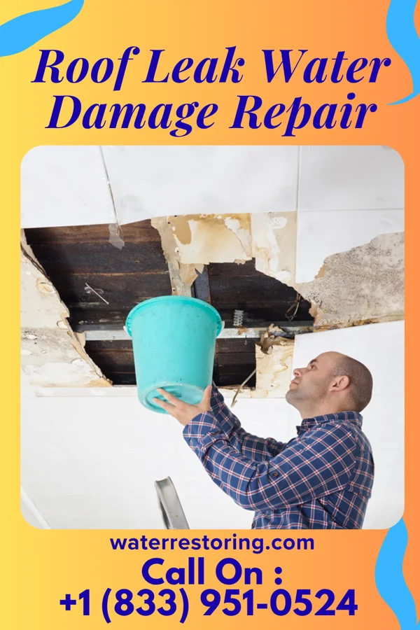 Roof Leak Water Damage Repair in New Seabury, MA