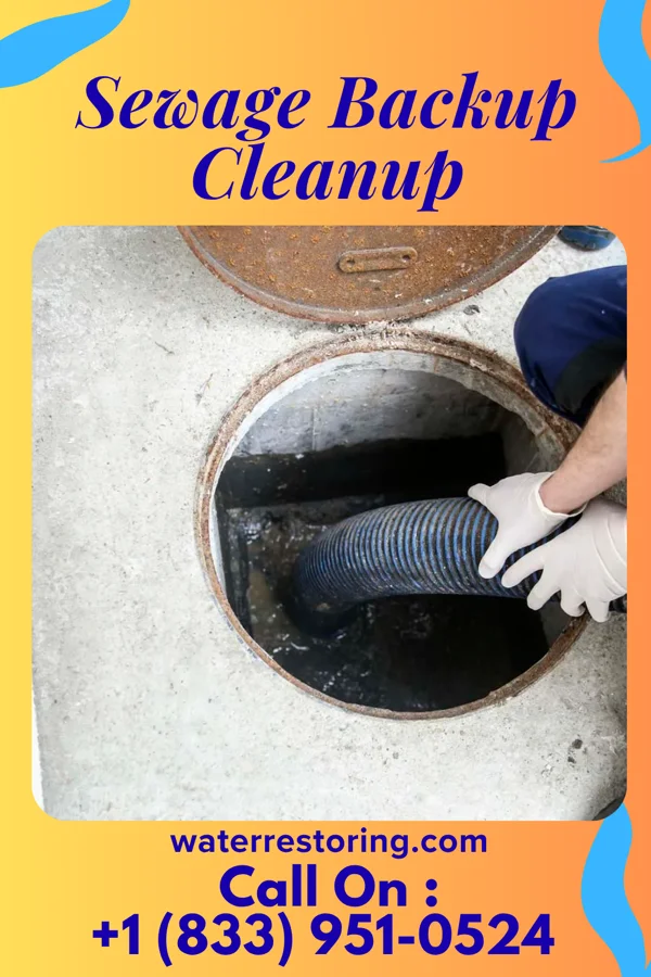 Sewage Backup Cleanup in New Seabury, MA
