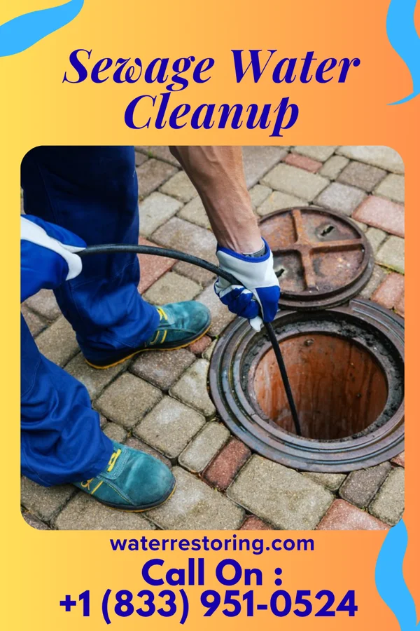 Sewage Water Cleanup in New Seabury, MA