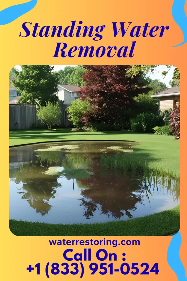 Standing Water Removal in New Seabury, MA